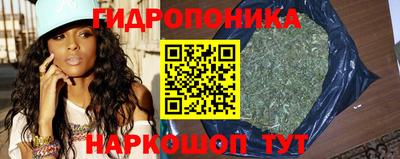 прущие крисы Бузулук