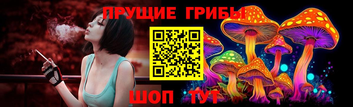 Галлюциногенные грибы Psilocybine cubensis Махачкала